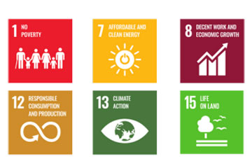 Kokoskole in Action: Driving the UN’s Sustainable Goals
